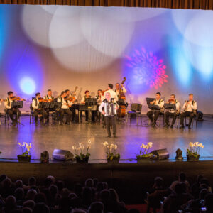 Bilet virtual concert Flacăra Prahovei - Mărțișoare Muzicale - Image 13