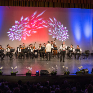 Bilet virtual concert Flacăra Prahovei - Mărțișoare Muzicale - Image 5