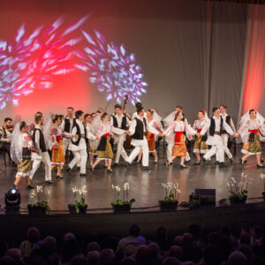 Bilet virtual concert Flacăra Prahovei - Mărțișoare Muzicale - Image 6