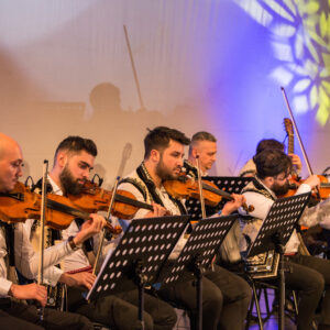 Bilet virtual concert Flacăra Prahovei - Mărțișoare Muzicale - Image 9