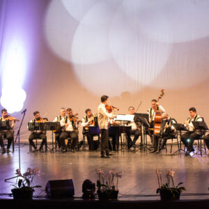 Bilet virtual concert Flacăra Prahovei - Mărțișoare Muzicale - Image 11