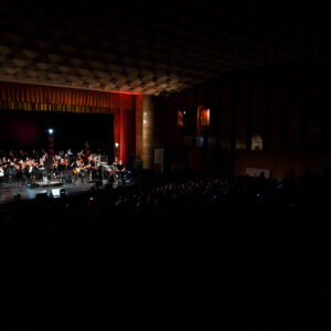 Bilet virtual Concert Fusion Rock-Etno-Jazz-Simfonic - Image 16