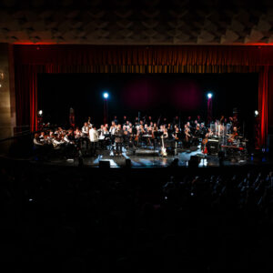 Bilet virtual Concert Fusion Rock-Etno-Jazz-Simfonic - Image 7